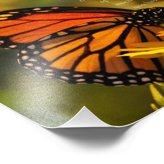 Monarch Butterfly "Proverbs 31:6" Moeder Hartelijk Foto Afdruk (Hoek)
