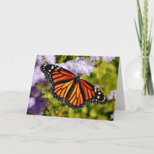 Monarch Butterfly Resting Scripting Note Kaart