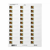 Monarch Butterfly Return Address Labels (Full Sheet)