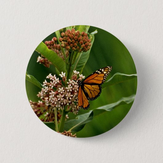 Monarch Butterfly Ronde Button 5,7 Cm (Voorkant)