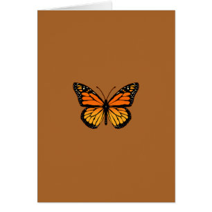 Monarch Butterfly-sensatie