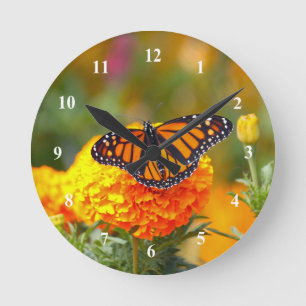 Monarch Butterfly Sinaasappel Marigold Photo Ronde Klok