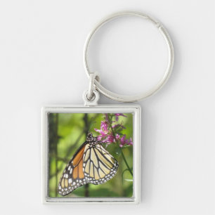 Monarch Butterfly sleutelhanger
