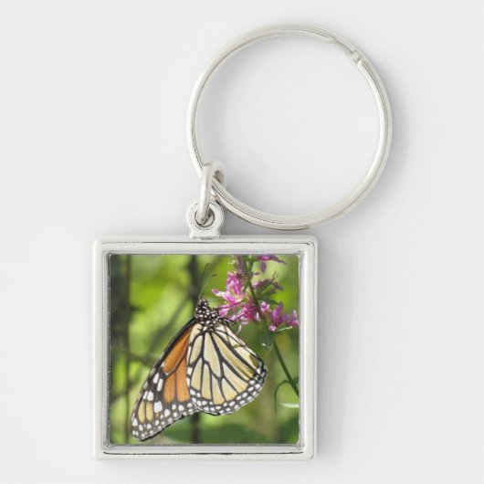 Monarch Butterfly sleutelhanger (Voorkant)