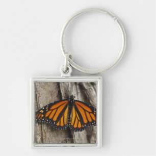 Monarch Butterfly Sleutelhanger