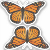 Monarch Butterfly Sticker (Voorkant)