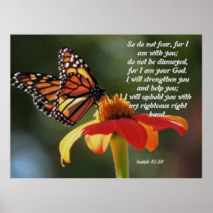 Monarch Butterfly Sunflower Flower Poster