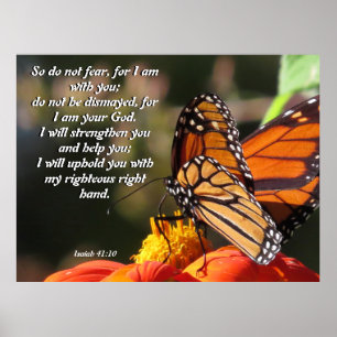 Monarch Butterfly Sunflower Flower Poster