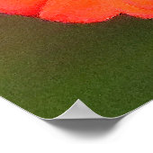 Monarch Butterfly Sunflower Flower Poster (Hoek)