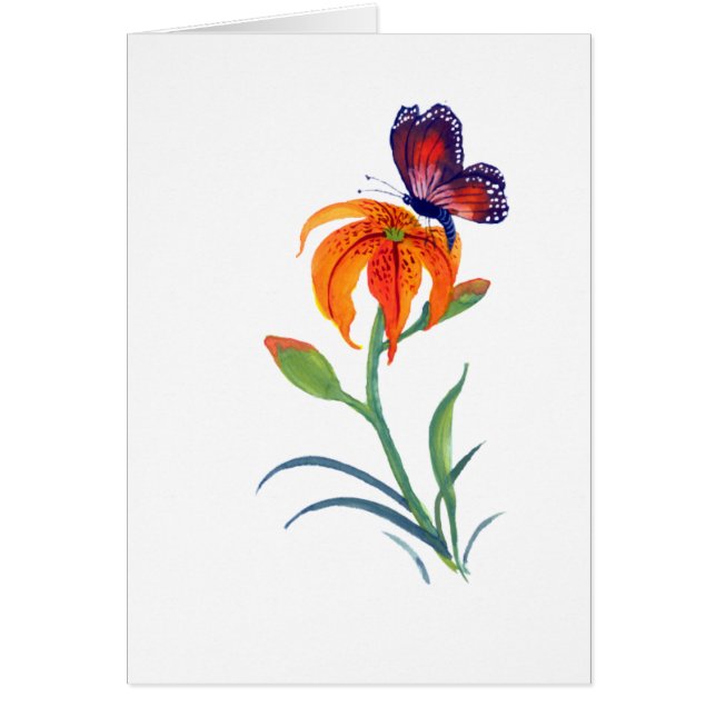 Monarch Butterfly & Tiger Lily (Voorkant)