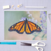 Monarch Butterfly Tissuepapier (Craft)