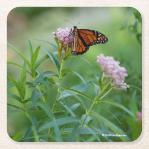 Monarch Butterfly Vierkante Kartonnen Onderzetter