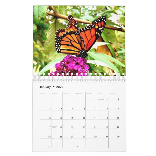 Monarch Butterfly Wall Agenda Kalender (Jan 2027)