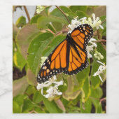 Monarch Butterfly Wijn Etiket (Enkel label)