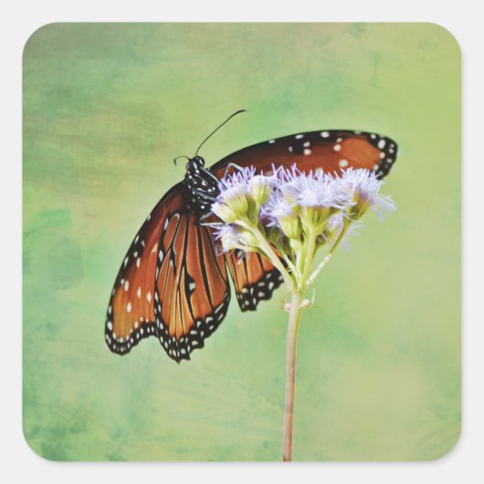 Monarch Butterfly Wildflower Sticker (Voorkant)