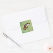 Monarch Butterfly Wildflower Sticker (Envelop)