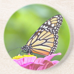 Monarch Butterfly Zandsteen Onderzetter
