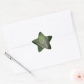 Monarch Caterpillar stickers (Enveloppe)