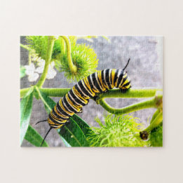 Monarch Caterstone Legpuzzel