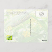 Monarch Caterstyle (Danaus plexippus) Briefkaart (Achterkant)