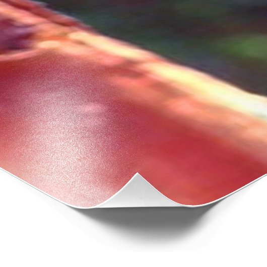 Monarch Chrysalis 2018 - Impression photo (Coin)