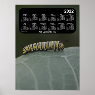 Monarch-driepijlerkalender 2022 van Janz Poster
