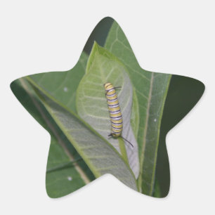 Monarch-driepijlerstickers Ster Sticker