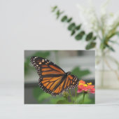 Monarch en Briefkaart van Lantana (Staand voorkant)