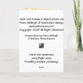 Monarch en Madeliefjes Kaart (Achterkant)