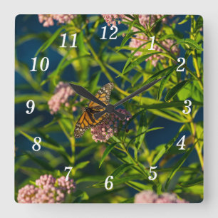 Monarch en Milkweed Wandklok Vierkante Klok