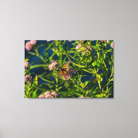 Monarch en molenroos canvas afdruk (Voorkant)