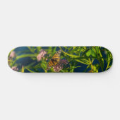 Monarch en molenroos skateboard (Horizontaal)