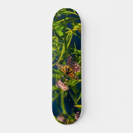 Monarch en molenroos skateboard (Voorkant)