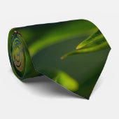 Monarch en Stropdas van moes (Opgerold)