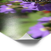 Monarch Foto Afdruk (Hoek)