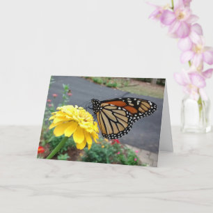 Monarch, geel zink, blanco kaart
