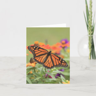 Monarch Kaart