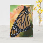 Monarch Kaart (Gele Bloem)