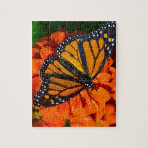Monarch Legpuzzel
