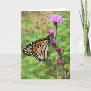 Monarch/Liatris Kaart