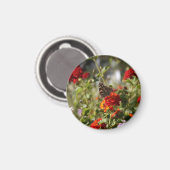 "Monarch" Magnet Magneet (Voorkant / Achterkant)