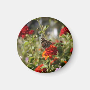 "Monarch" Magnet Magneet