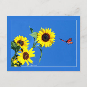 Monarch met geel en blauw briefkaart