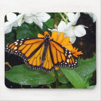 Monarch Mousepad Muismat