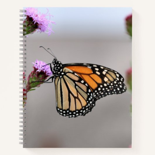Monarch Notitieboek (Voorkant)