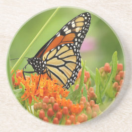 Monarch op Butterfly Weed Zandsteen Onderzetter