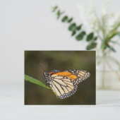 Monarch op een blad briefkaart (Staand voorkant)