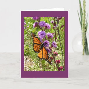 Monarch op Kaart van de Nota van Gayfeather van de