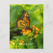 Monarch op Lantana Bedankkaart Briefkaart (Voorkant)