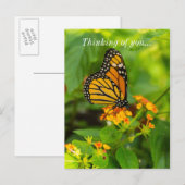 Monarch op Lantana Briefkaart (Voorkant / Achterkant)